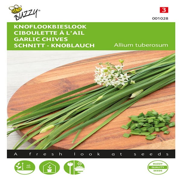 Chinesischer Knoblauch - Schnittlauch