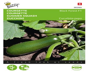 Zucchini Kletternd Black Forest F1