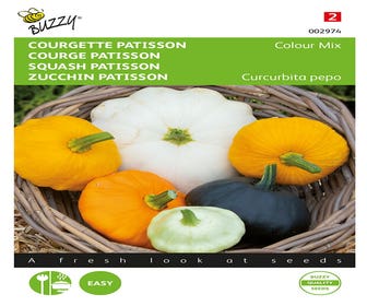 Zucchini Patisson Farbmix