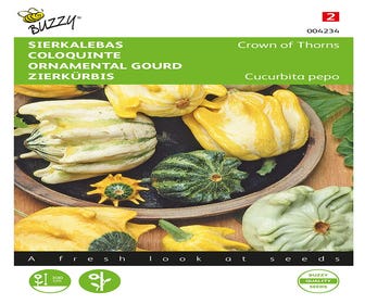 Cucurbita, Zierkürbis Dornenkrone