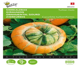 Cucurbita, Zierkürbis Türkischer Hut