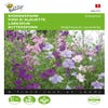Rittersporn Imperial gemischt