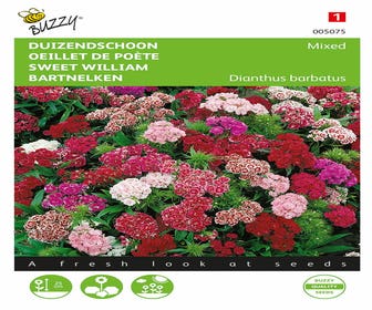 Dianthus, Tausendschön gefüllt gemischt