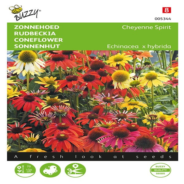 Echinacea, Sonnenhut Cheyenne Spirit