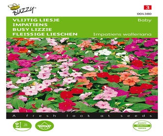 Impatiens, Fleißiges Lieschen Baby gemischt
