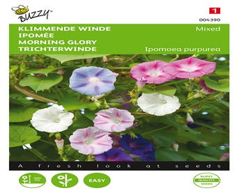 Ipomoea, Kletternde Winde gemischt