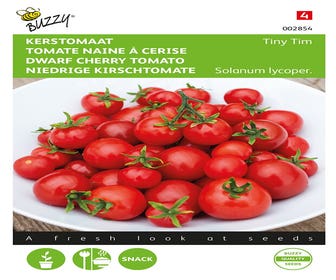 Weihnachts-Tomate Tiny Tim