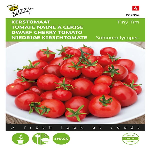 Weihnachts-Tomate Tiny Tim