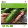 Gurken Snack Iznik F1