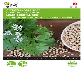 Zitronen-Koriander niedrig
