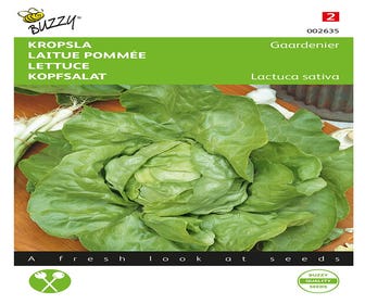 Kopfsalat Gaardenier, sehr spät treibend