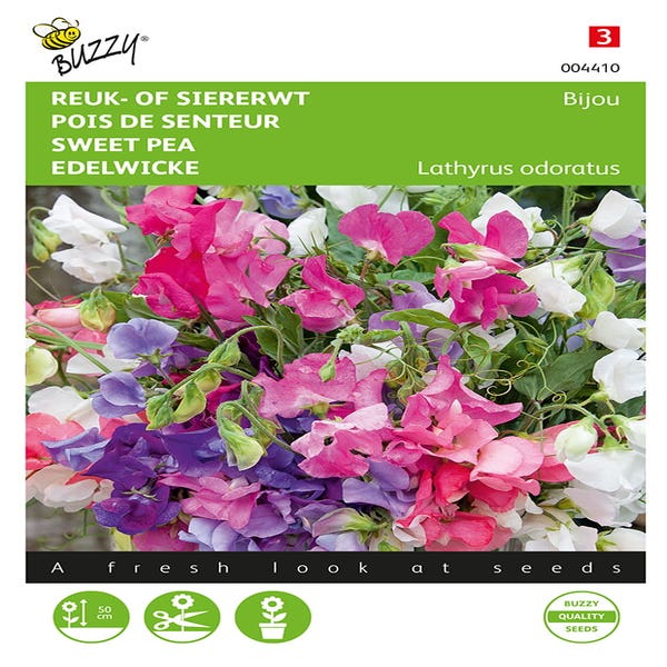 Lathyrus, Duft- oder Ziererbse Bijou