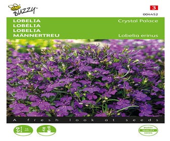 Lobelie (Lobelia erinus 'Crystal Palace')