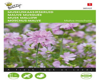 Moschus-Malve (Malva moschata 'roze')
