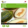 Melonen Piñonet Piel De Sapo