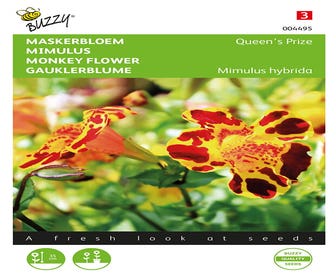 Maskenblume (Mimulus hybrida 'Queen’s Prize')
