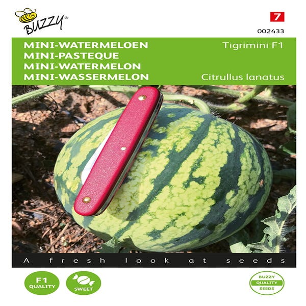 Mini-Wassermelone Tigrimini F1