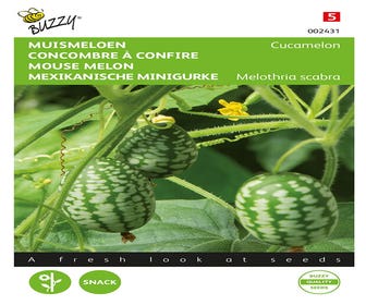 Mausmelone, Cucamelon