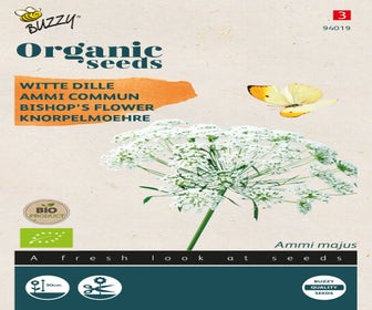 Weiße Dill (Ammi Majus) (BIO)