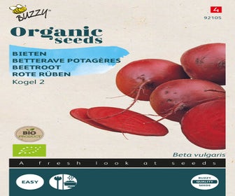 Rote Bete Detroit 2 (BIO)