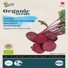 Rote Bete 