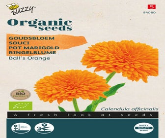 Ringelblume (Calendula 'Ball's Orange') (BIO)