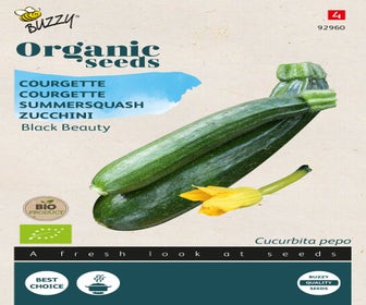Zucchini Black Beauty (BIO)