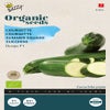 Zucchini Dunja F1 (BIO)