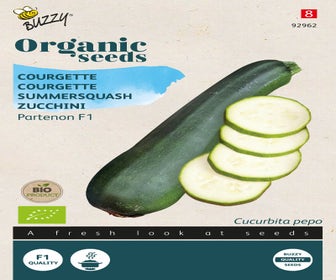 Zucchini Partenon F1 (BIO)