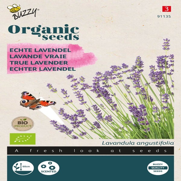 Echter Lavendel ( Lavandula 'angustifolia') (BIO)