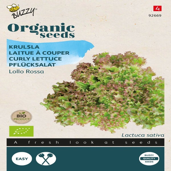 Krausesalat Lollo rossa  (BIO)