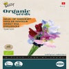 Duft- oder Ziererbsen ( Lathyrus odoratus 'Spencer')(BIO)