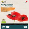 Mohn Rot (Papaver rhoeas) (BIO)