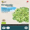 Pflücksalat-Salatschüssel, grün (BIO)
