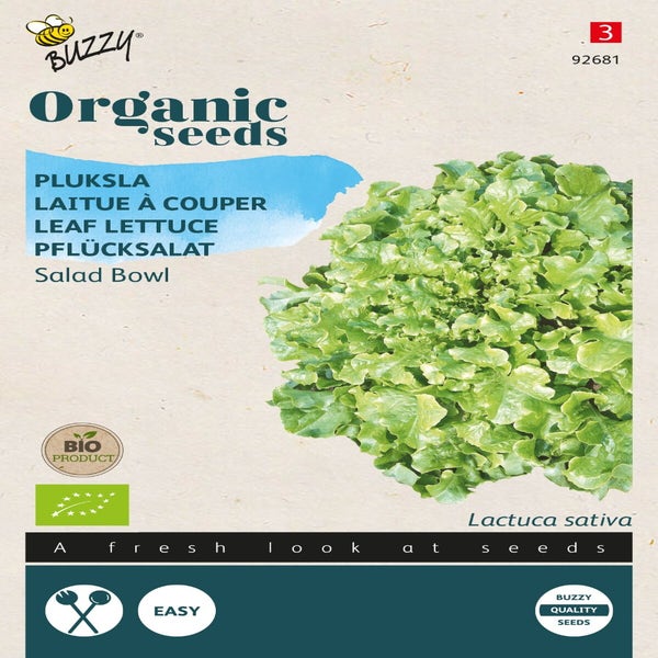 Pflücksalat-Salatschüssel, grün (BIO)
