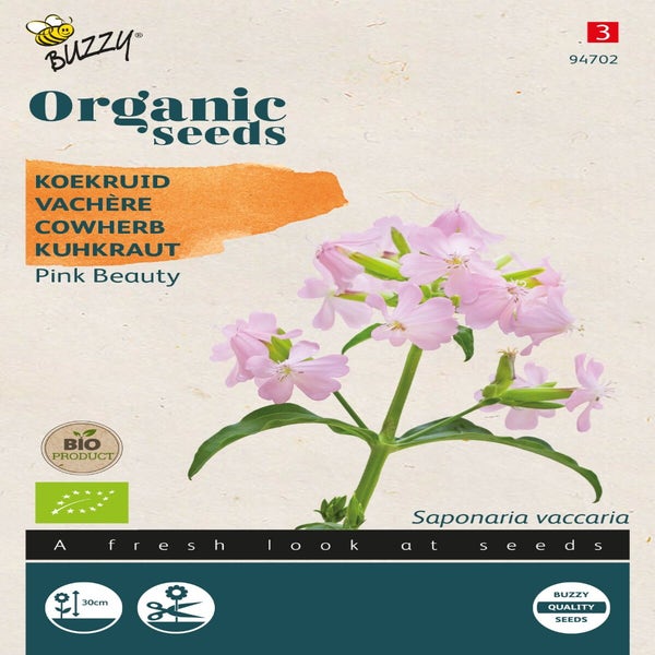 Seifenkraut (Saponaria 'Pink Beauty') (BIO)