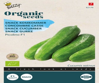 Snackgurke Picolino F1 (BIO)