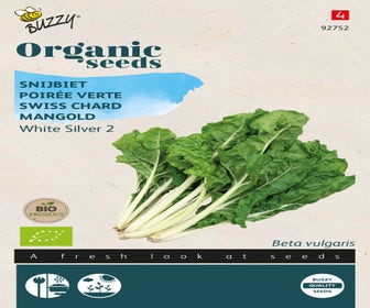 Mangold White Silver 2 (BIO)
