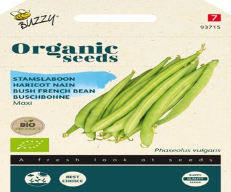 Stangenbohnen Maxi 50g (BIO)