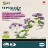 Wilder Majoran - Oregano (BIO)