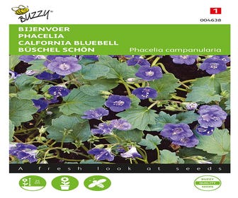 Bienenweide (Phacelia campanularia)