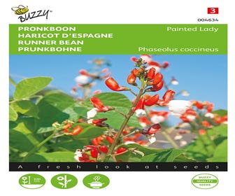 Prachtbohne (Phaseolus coccineus 'Painted Lady')