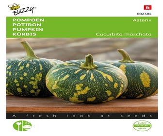 Kürbis Asterix (Panterprint)