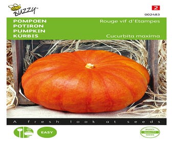 Kürbis Rote von Etampes