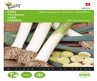 Porree Blaugrüne Winter, Hiverbleu