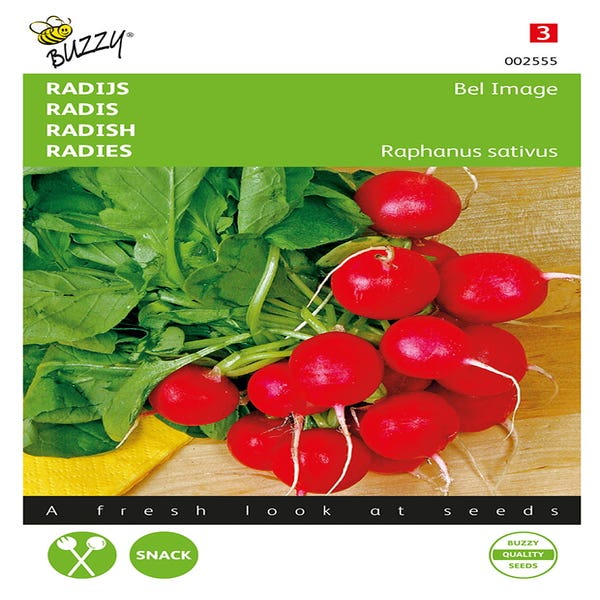 Rettich Bel Image, Runde Rote Kurzrübe