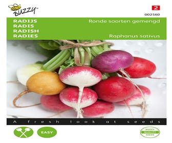 Rettich Runde Sorten gemischt