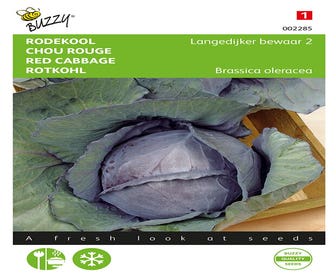 Roter Kohl Langedijker Bewaar 2