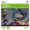 Roter Kohl Roodkop
