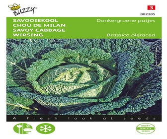 Wirsing Dunkelgrüne Pflänzchen